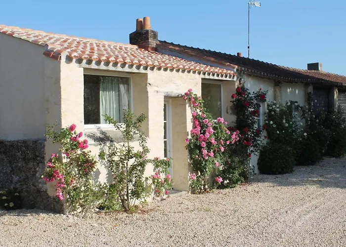 Maison Renovee Avec Piscine Chauffee Privative Pres De Challans Et Aizenay - Fr-1-426-258 Saint-Christophe-du-Ligneron